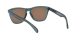 Oakley Frogskins OO 9013 F6