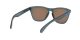 Oakley Frogskins OO 9013 F6