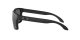 Oakley Holbrook OO 9102 D6