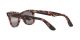 Ray-Ban Wayfarer RB 2140 1334/G3