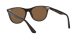 Ray-Ban Wayfarer Ii RB 2185 902/57