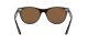 Ray-Ban Wayfarer Ii RB 2185 902/57