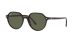 Ray-Ban Thalia RB 2195 902/31