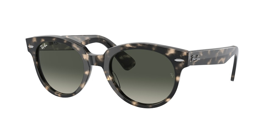 ray ban rb 2199