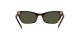 Ray-Ban Lady Burbank RB 2299 902/31