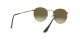 Ray-Ban Round Metal RB 3447 9002/A6