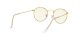 Ray-Ban Round Metal RB 3447 9196/BL