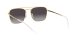 Ray-Ban RB 3588 9054/8G