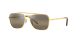 Ray-Ban New Caravan RB 3636 9196/G5