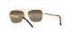 Ray-Ban New Caravan RB 3636 9196/G5