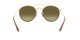 Ray-Ban RB 3647N 001/7O