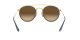 Ray-Ban RB 3647N 001/9U