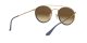 Ray-Ban RB 3647N 001/9U