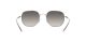 Ray-Ban RB 3682 003/11