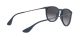 Ray-Ban Erika RB 4171 6002/8G