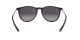 Ray-Ban Erika RB 4171 622/8G