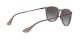 Ray-Ban Erika RB 4171 6513/8G