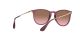 Ray-Ban Erika RB 4171 6591/14