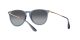 Ray-Ban Erika RB 4171 6592/T3