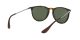 Ray-Ban Erika RB 4171 710/71