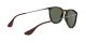 Ray-Ban Erika RB 4171 710/71