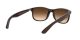 Ray-Ban Andy RB 4202 6073/13