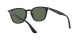 Ray-Ban RB 4258 601/71