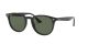 Ray-Ban RB 4259 601/71