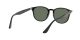 Ray-Ban RB 4259 601/71