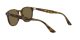 Ray-Ban RB 4259 710/73