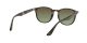 Ray-Ban RB 4259 731/E8