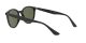 Ray-Ban RB 4305 601/9A