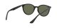 Ray-Ban RB 4305 601/9A