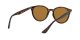 Ray-Ban RB 4305 710/83