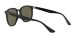 Ray-Ban RB 4306 601/9A