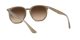 Ray-Ban RB 4306 6166/13