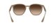 Ray-Ban RB 4306 6166/13