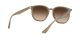 Ray-Ban RB 4306 6166/13