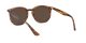 Ray-Ban RB 4306 820/73