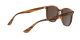 Ray-Ban RB 4306 820/73