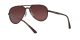 Ray-Ban RB 4320/CH 710/6B