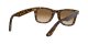 Ray-Ban Wayfarer RB 4340 710/51