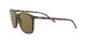 Ray-Ban RB 4387 710/73