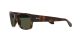 Ray-Ban RB 4388 710/31