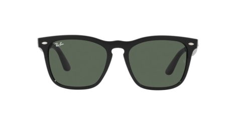 Ray-Ban Steve RB 4487 6629/71