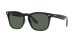 Ray-Ban Steve RB 4487 6629/71