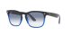 Ray-Ban Steve RB 4487 6632/19