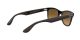 Ray-Ban RB 4640 710/M2