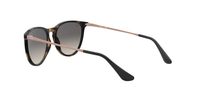 Ray sales ban 7049