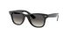 Ray-Ban Junior Wayfarer RJ 9066S 100/11